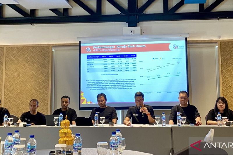 Kepala OJK Kepri Sinar Danandjaya memaparkan pertumbuhan ekonomi Provinsi Kepri di acara Media Gathering di Bintan, Kamis (ANTARA/Amandine Nadja)