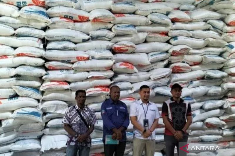Ketersediaan beras Bulog di gudang selama empat bulan ke depan (ANTARA/Paulus Pulo)