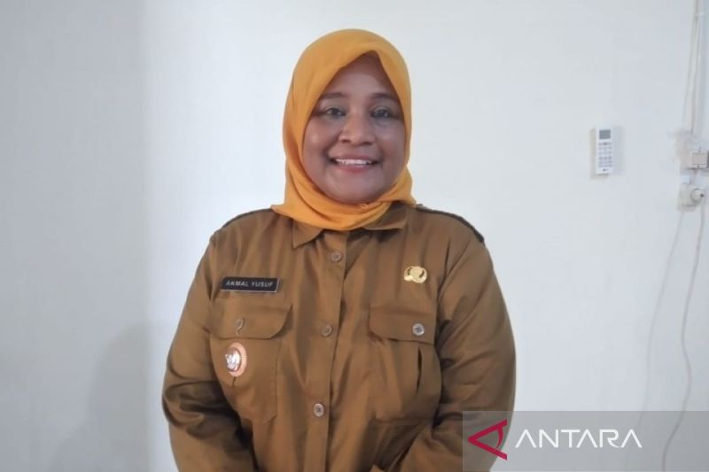 Lurah Buluri Akmal Yusuf (ANTARA/Fauzi Lamboka)