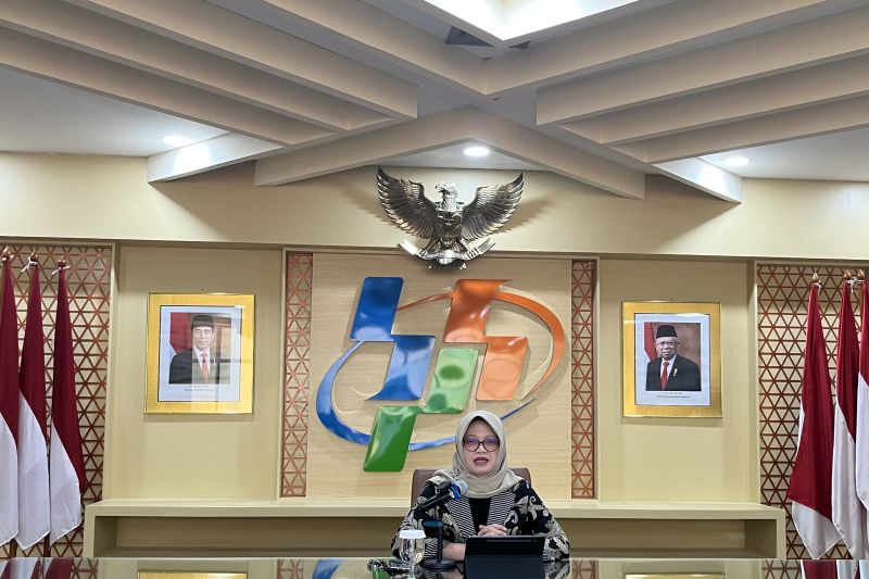 Deputi bidang Statistik, Distribusi dan Jasa BPS Pudji Ismartini. (ANTARA/Putri Hanifa)