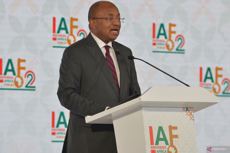 Presiden Zanzibar dan Ketua Dewan Revolusioner Zanzibar, Republik Perserikatan Tanzania Hussein Ali Mwinyi menyampaikan pandangannya dalam Leaders' Talk IV Indonesia Africa Forum (IAF) II di Nusa Dua, Badung, Bali, Selasa (3/9/2024). Media Center IAF II-HLF MSP/Ari Bowo Sucipto/nym. (ANTARA FOTO/ARI BOWO SUCIPTO)