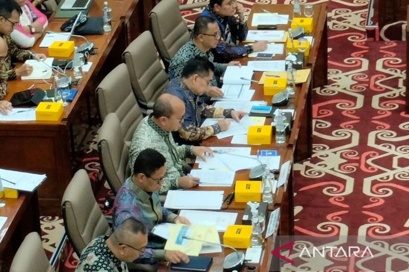 Menteri Investasi/Kepala Badan Koordinasi Penanaman Modal (BKPM) Rosan Roeslani dalam Rapat Kerja bersama Komisi VI DPR RI di Jakarta, Selasa (3/9/2024). ANTARA/Aji Cakti