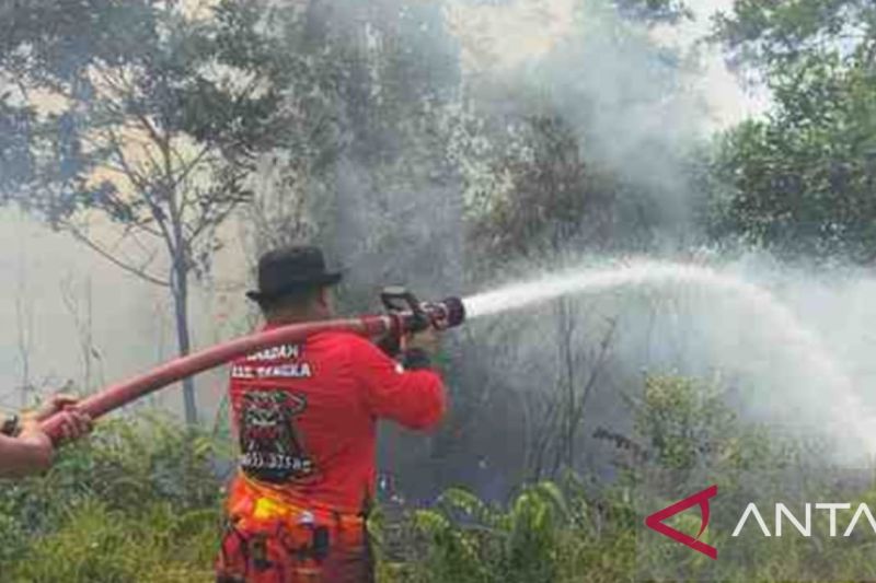 Petugas Damkar Bangka tengah melakukan pemadaman api yang membakar lahan di wilayah Kecamatan Pemali, (3/9) (ANTARA/Kasmono/Ho.Damkar Bangka)