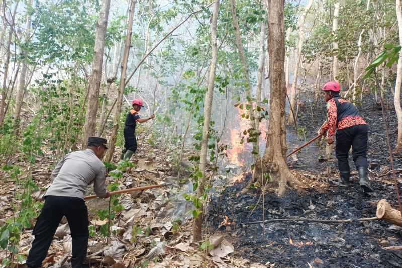 Dokumentasi - Petugas gabungan saat memadamkan api yang membakar semak dan sampah kering di kawasan hutan lereng Gunung Orak-arik, Trenggalek. ANTARA/HO-BPBD Trenggalek.