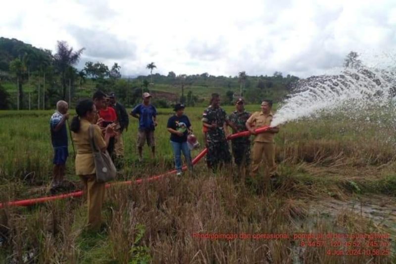 Pemkab Manggarai Timur membagikan pompa air untuk membantu para petani sawah tadah hujan di daerah itu. ANTARA/HO-Bagpropim Manggarai Timur