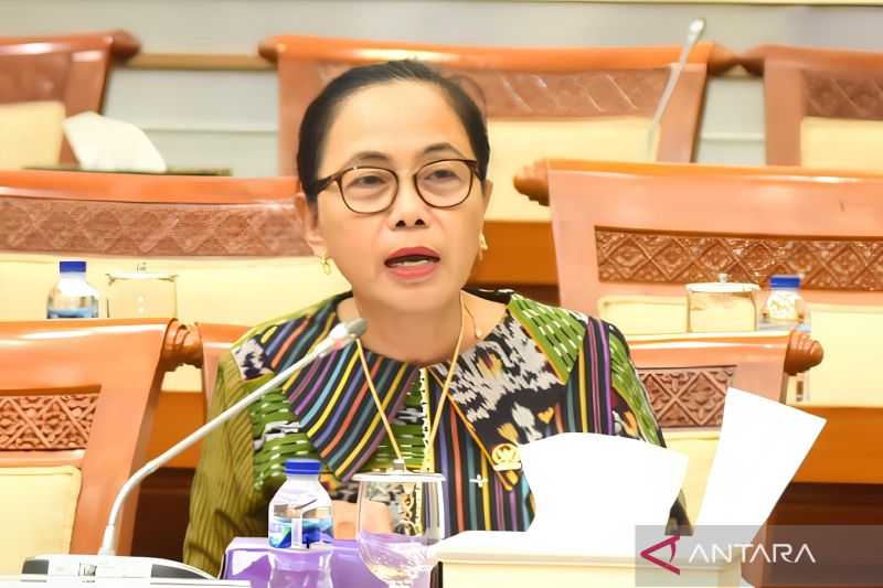Anggota Komisi VIII DPR RI My Esti Wijayati. ANTARA/HO-Humas DPR
