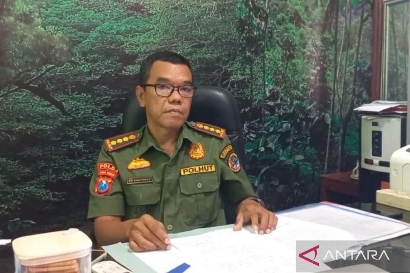 Kepala Bidang Wilayah 1 BKSDA Madiun Agustinus Krisdijantoro memberikan keterangan di Madiun, Kamis (5/9/2024). ANTARA/Louis Rika