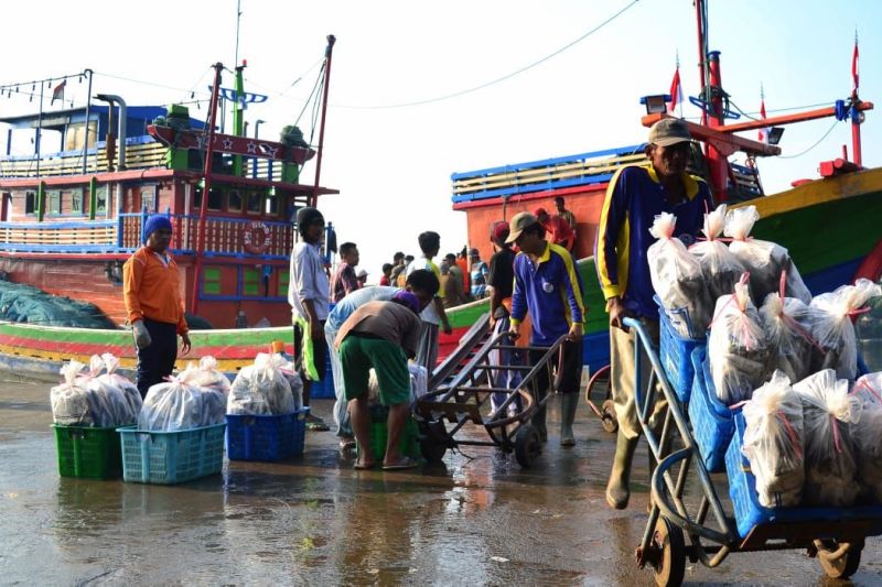 Aktivitas nelayan mencari ikan (ANTARA/HO-PT Perikanan Indonesia)