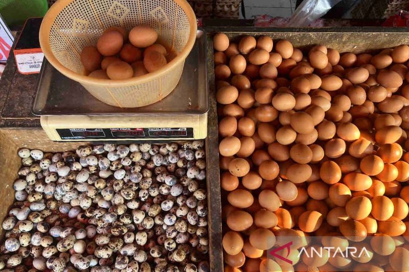 Komoditas pangan telur ayam ras di Pasar Karang Anyar Jakarta, Jumat (23/8/2024). ANTARA/Harianto/aa.