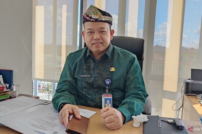 Plt. Kepala Badan Kepegawaian Daerah (BKD) Provinsi Kalimantan Utara, Andi Amriampa. (ANTARA/Muhammad Arfan)