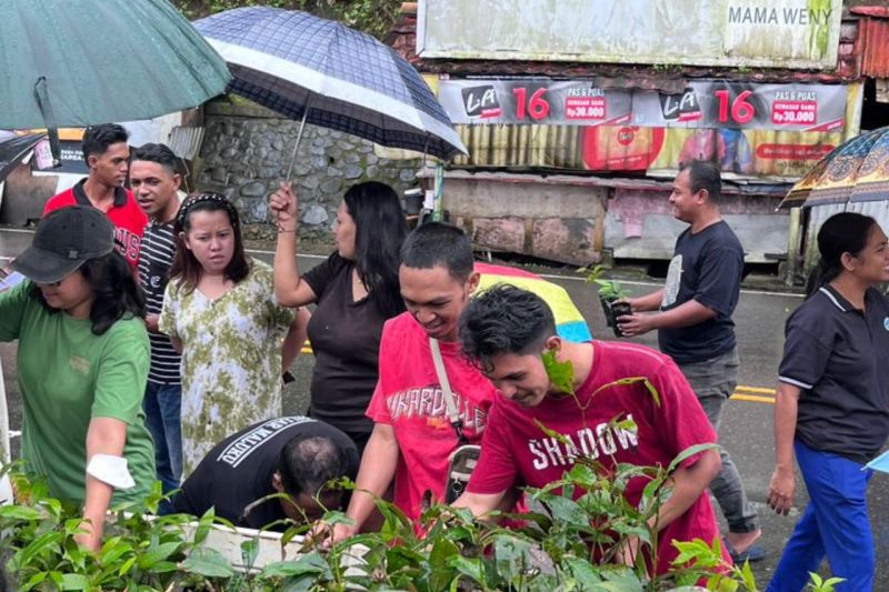 Warga Ambon antusias mengambil pohon gratis yang dibagikan MCC, Ambon, Minggu (8/9/20244). ANTARA/Winda Herman