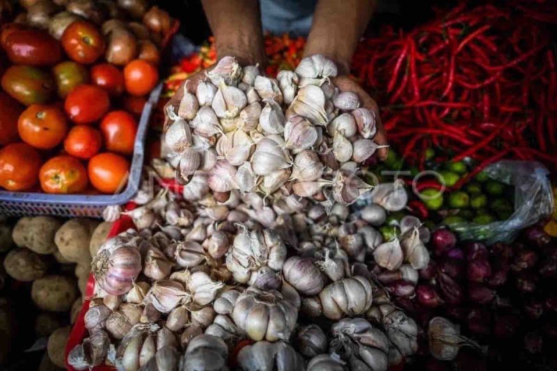 Arsip foto - Pedagang menunjukkan bawang putih yang dijual di Pasar Kebayoran Lama, Jakarta. ANTARA FOTO/ Rivan Awal Lingga/tom.