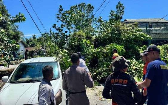 Petugas BPBD Kobar bersama instansi terkait lainnya melakukan evakuasi mobil tertimpa pohon tumbang