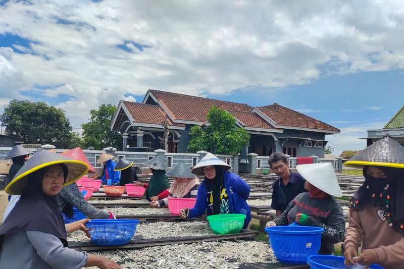 Ilustrasi- Pekerja wanita di Pulau Pasaran Bandarlampung tengah memilah salah satu produk perikanan berupa ikan teri Lampung. ANTARA/Ruth Intan Sozometa Kanafi.