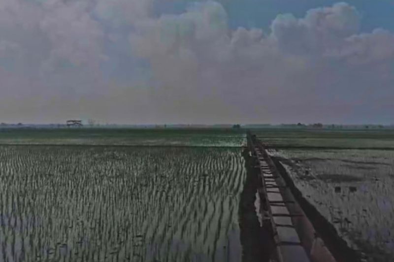Irigasi gantung yang mengairi sawah milik masyarakat di Rawajitu Lampung. ANTARA/HO-BBWS Lampung.