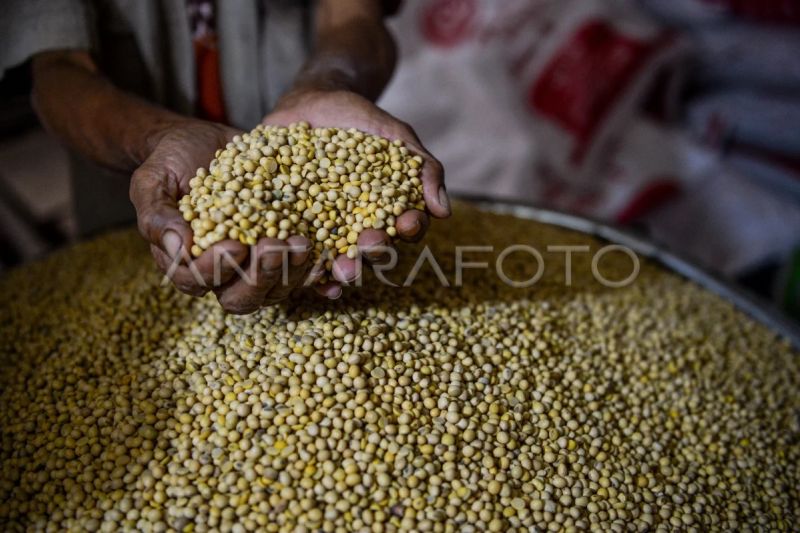 Pekerja menyiapkan kedelai untuk memproduksi tahu di Desa Giriharja, Kabupaten Sumedang, Jawa Barat, Selasa (16/7/2024). ANTARA FOTO/Raisan Al Farisi/wpa.