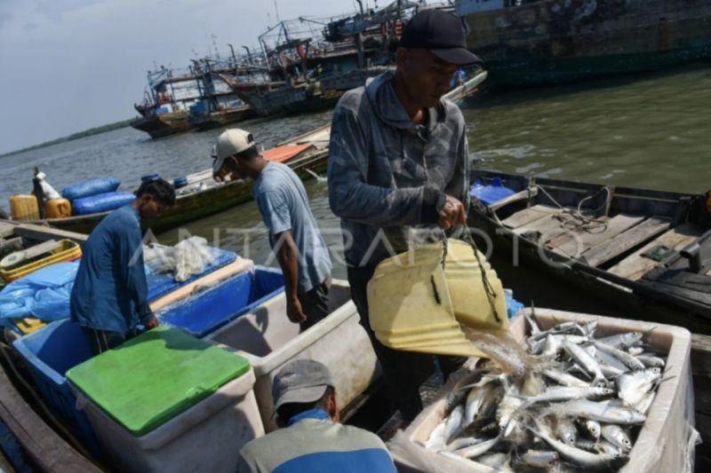 Ilustrasi - Nelayan membongkar muat ikan hasil tangkapan. (ANTARA FOTO/Fransisco Carolio/tom.)