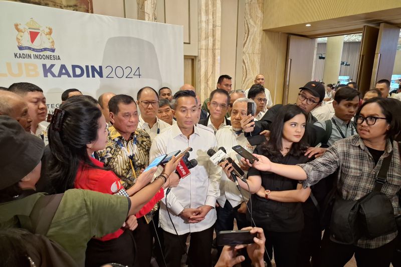 Anindya Bakrie usai Musyawarah Nasional Luar Biasa (Munaslub) Kamar Dagang dan Industri (Kadin) Indonesia 2024 di Hotel St Regis, Jakarta, Sabtu (14/9/2024). ANTARA/Muhammad Heriyanto