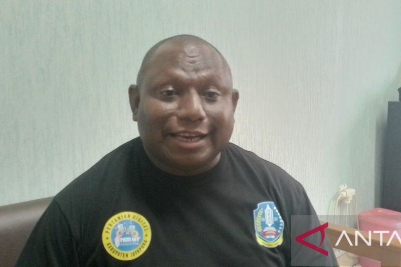 Kepala Diskominfo Kabupaten Jayapura Gustaf Griapon. (ANTARA/Yudhi Efendi)