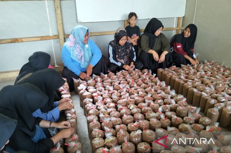 Puluhan peserta didik Pusat Kegiatan Belajar Masyrakat di Kecamatan Takokak, Kabupaten Cianjur, mendapat keterampilan membudidayakan jamur tiram selain menempuh pendidikan kesetaraan. ANTARA/Ahmad Fikri