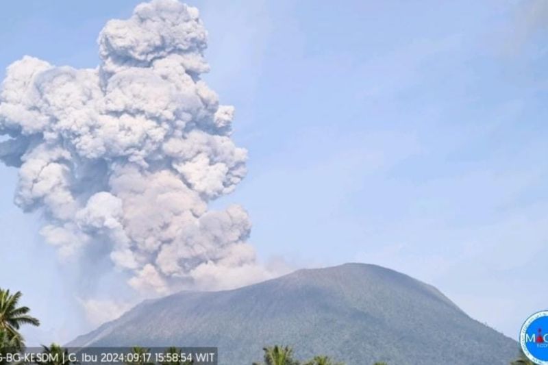 Gunung Ibu di Kabupaten Halmahera Barat, pada Selasa (17/9) sore sekitar pukul 15.58 WIT kembali mengeluarkan abu berwarna kelabu dengan ketinggian mencapai 1,5 kilometer. ANTARA/Abdul Fatah