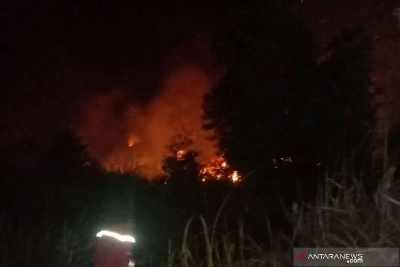 Petugas memadamkan kebakaran lahan gambut di sisi Tol Palindra Kabupaten Ogan Ilir, Sumsel. (ANTARA/HO)