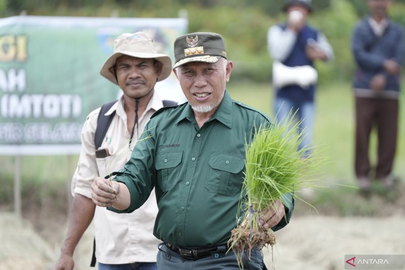 Gubernur Sumbar Mahyeldi saat meninjau sawah dengan teknologi Mulsa Tanpa Olah Tanah (MTOT) di Pesisir Selatan. ANTARA/HO-Biro Adpim Sumbar