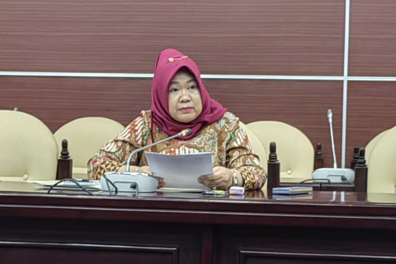 Plt. Sekretaris Jenderal MPR RI Siti Fauziah di Kompleks Parlemen, Senayan, Jakarta, Jumat (20/9/2024). (ANTARA/Melalusa Susthira K.)