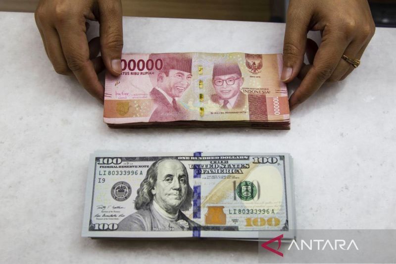 Petugas menunjukkan mata uang rupiah dan dolar AS di salah satu tempat penukaran uang di Jakarta, Senin (26/8/2024). ANTARA FOTO/Dhemas Reviyanto/foc/aa.