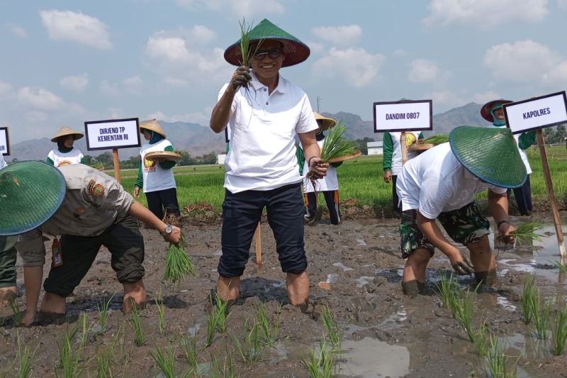 Pj. Bupati Tulungagung, Heru Suseno bersama Forkopimda Kabupaten Tulungagung melakukan penanaman padi secara simbolis di Desa Kuping Kecamatan Gondang. (ANTARA/HO - Joko Pramono)