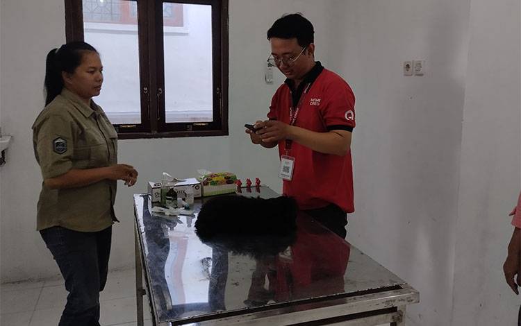 Dokter Hewan melayani masyarakat yang datang membawa hewan peliharaannya ke Klinik Hewan DPKP Kota Palangka Raya. (FOTO: TESTI PRISCILLA)