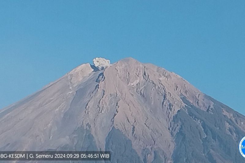 Gunung Semeru erupsi dengan letusan sekitar 500 meter di atas puncak pada Minggu (29/9/2024) pagi. (ANTARA/HO-PVMBG)