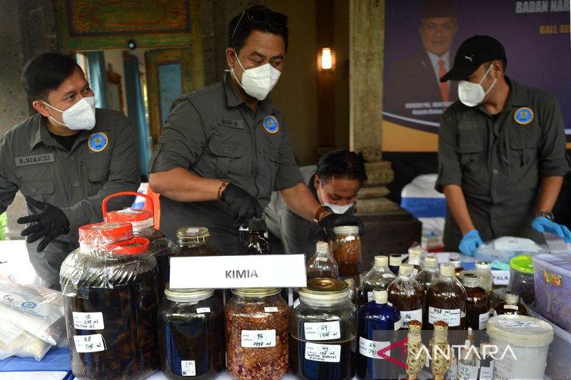 Petugas Badan Narkotika Nasional (BNN) menata barang bukti kasus laboratorium rahasia (clandestine lab) narkotika saat konferensi pers di sebuah vila di kawasan Desa Kelusa, Gianyar, Bali, Selasa (23/7/2024). BNN bekerja sama dengan sejumlah instansi terkait pengungkapan kasus laboratorium rahasia di tenda yang dibangun di area vila untuk pembuatan narkotika jenis N,N-Dimethyltryptamine (DMT) pertama di Indonesia yang diproduksi tersangka warga negara Filipina berinisial DAS, diinisiasi oleh war