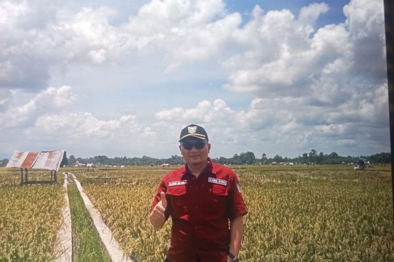 Kepala Dinas Tanaman Pangan dan Hortikultura Pasaman Barat Doddy San Ismail saat meninjau lahan persawahan petani di daerah itu beberapa waktu lalu. Antara/Altas Maulana.