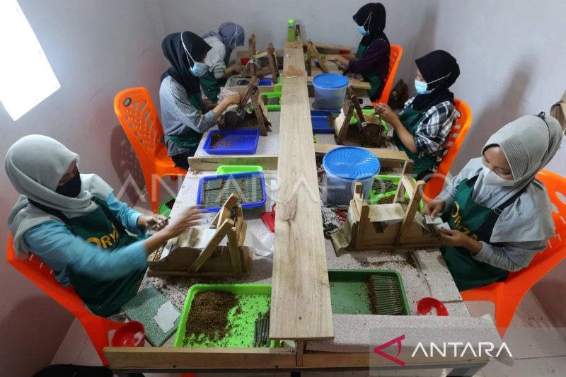 Ilustrasi - Pekerja melinting tembakau di UKM Oryza Group, Desa Tanjung Selamat, Aceh Besar, Aceh, Senin (20/6/2022). (ANTARA FOTO / Irwansyah Putra)