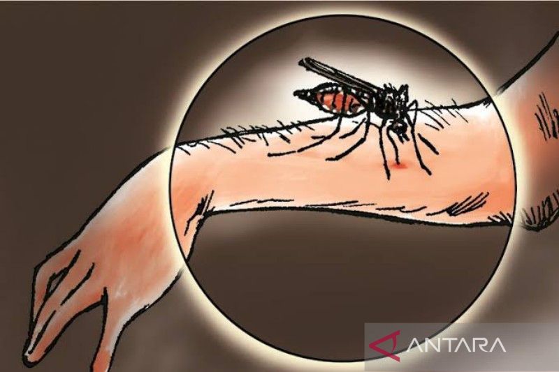 Ilustrasi, Aktivitas penambangan bijih timah rakyat marak sebagai pemicu kasus malaria 2022 mencapai 123 orang atau meningkat dibandingkan tahun sebelumnya 104 kasus. (Antara)