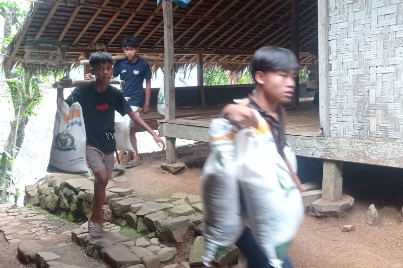 Warga Badui di pedalaman Kabupaten Lebak memanggul beras bantuan Badan Pangan Nasional berjalan kaki menembus pegunungan dan perbukitan hingga sejauh 10 kilometer. ANTARA/Mansyur