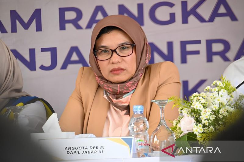 Anggota DPR RI Periode 20242029 Neng Eem Marhamah Zulfa dari Partai Kebangkitan Bangsa. ANTARA/HO-Humas DPR RI