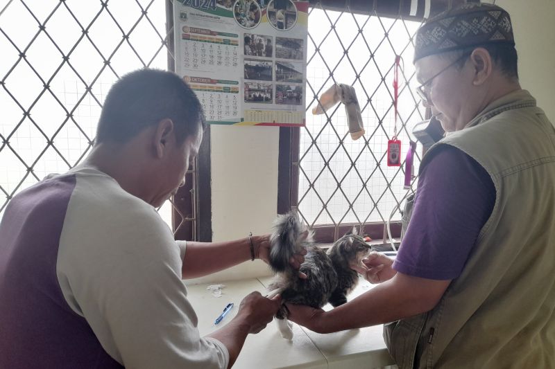 Petugas melakukan vaksinasi rabies, di Rumah Sakit Hewan Banten, di Serang, Banten, Kamis (3/10/2024). ANTARA/Desi Purnama Sari