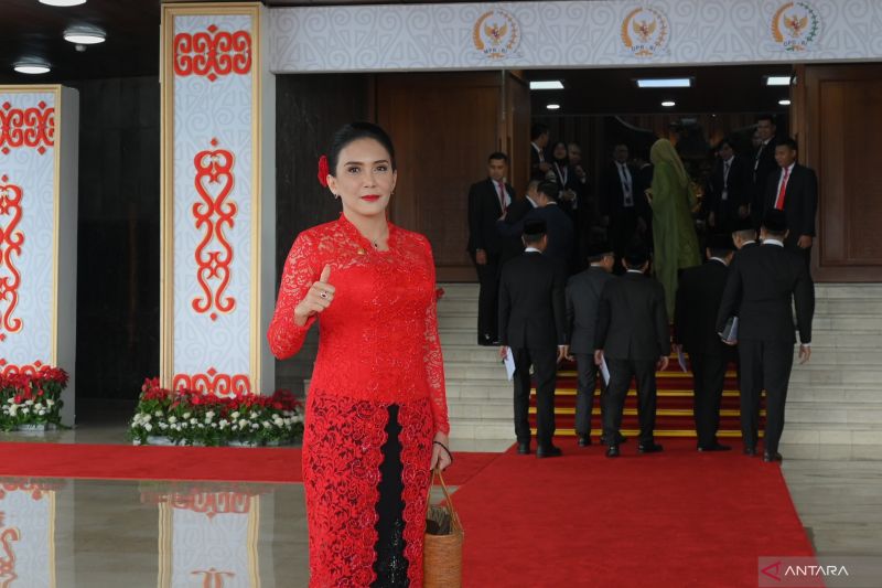 Anggota DPR RI Periode 20242029 Rieke Diah Pitaloka. ANTARA/HO-Humas DPR RI