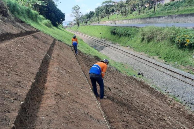 Petugas PT KAI Daop 2 Bandung tengah melakukan penanaman tanaman akar wangi guna memperkuat lereng di samping jalur kereta sebagai antisipasi longsor. ANTARA/HO-KAI Daop 2 Bandung