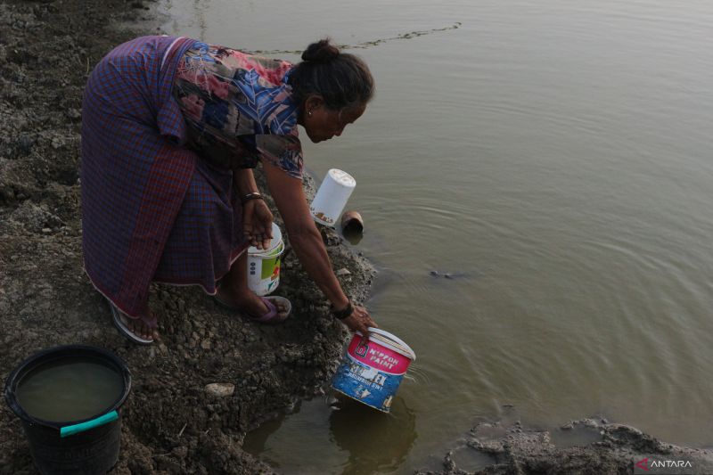 Seorang ibu mengambil air di embung yang keruh, Desa Kabuna, Atambua, Kabupaten Belu, Rabu (11/09/2024). Warga di desa tersebut terpaksa memanfaatkan air embung yang keruh untuk keperluan mencuci dan kebutuhan air ternak akibat akses air bersih perpipaan tidak lancar selama musim kemarau. ANTARA FOTO/Mega Tokan