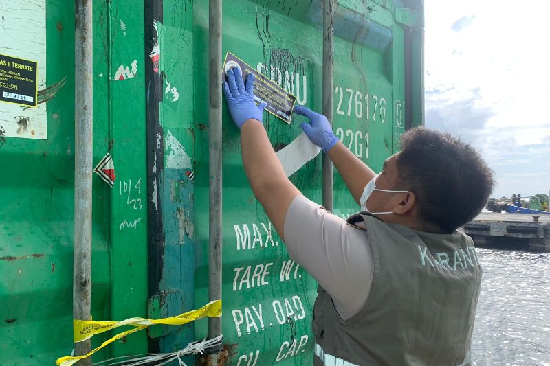 Pemeriksaan terhadap 2 ton kulit sapi untuk produk non pangan akan dikirim dari Pelabuhan Ahmad Yani ke pulau Jawa, Senin (7/10/2024). ANTARA/Abdul Fatah (Abdul Fatah)