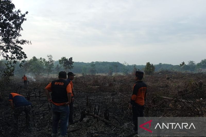 Personel BPBD OKU Timur memadamkan api karhutla di Kecamatan Cempaka. (ANTARA/Edo Purmana)