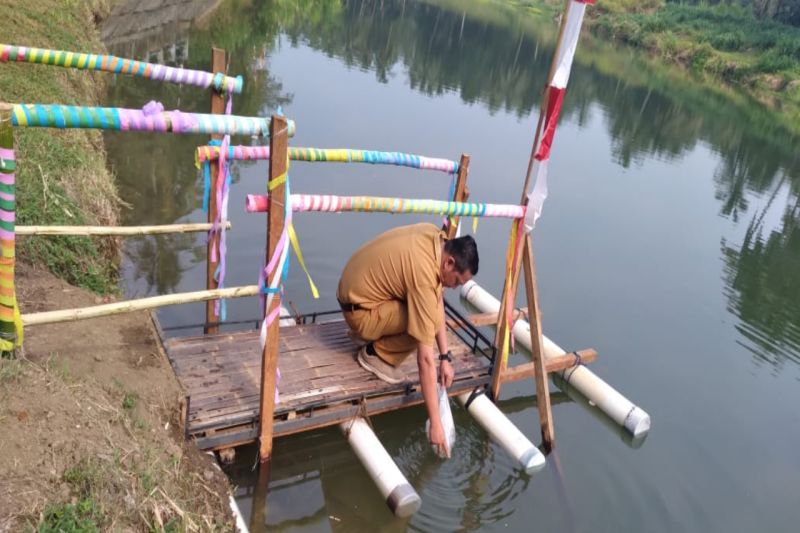 Kabid Perikanan Tangkap Dinas Kelautan dan Perikanan Kabupaten Kulon Progo Wakhid Purwosubiyantara tebar benih ikan Nilem di Kedung Kebo Kuning, Kalurahan Bojong. (ANTARA/HO-DKP Kulon Progo)