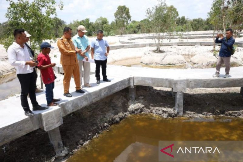 Pj Wali Kota Pangkalpinang, Budi Utama memimpin rapat teknis lapangan terkait pengendalian kegiatan strategis Pemerintah Kota Pangkalpinang tahun anggaran 2024 di Pantai Pasir Padi. (Antara/HO-Diskominfo Kota Pangkalpinang)