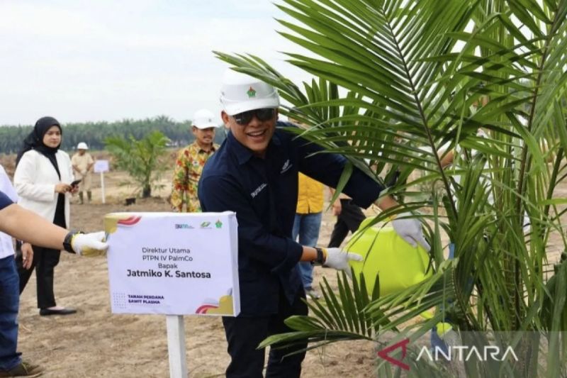 Direktur Utama PTPN IV PalmCo Jatmiko Santosa saat memberikan arahan dalam percepatan program peremajaan sawit rakyat (PSR) belum lama ini. Jatmiko menekankan bahwa tumbuh dan berkembang bersama petani merupakan semangat perusahaan untuk meningkatkan produktivitas dan kesejahteraan petani melalui program PSR maupun penyediaan bibit sawit unggul bersertifikat. (ANTARA/HO-PalmCo Regional III)