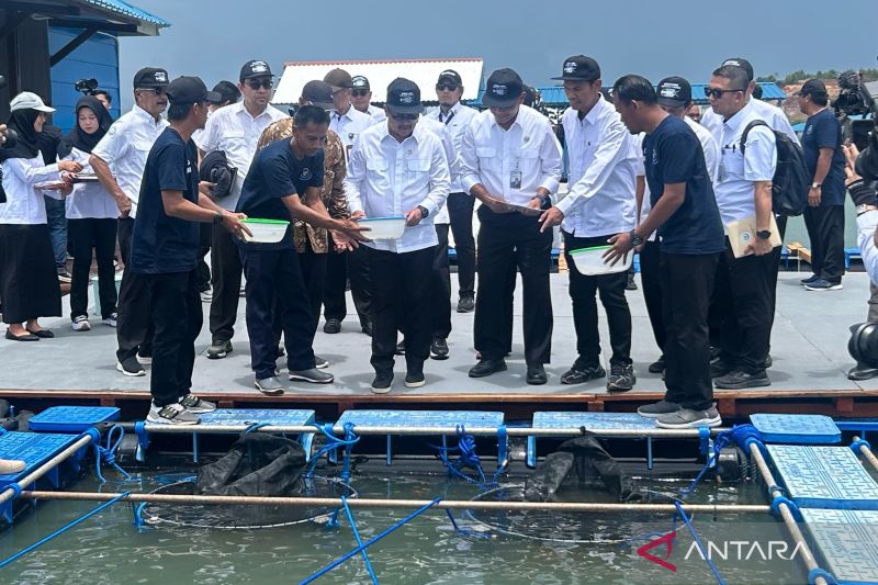 Menteri Kelautan dan Perikanan (KKP) Sakti Wahyu Trenggono saat melakukan penebaran benih lobster di Modeling Budi Daya Lobster, Batam, Kepulauan Riau, Kamis (10/10/2024). ANTARA/Maria Cicilia Galuh