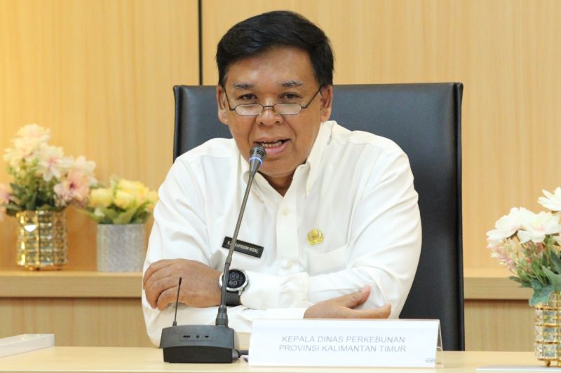 Kepala Dinas Perkebunan Provinsi Kaltim Ence Achmad Rafiddin Rizal (Antara/ HO Disbun Kaltim)
