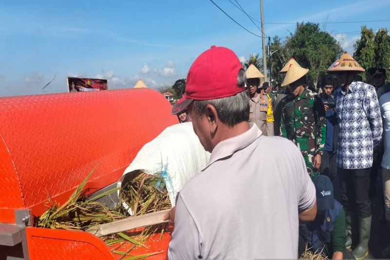 Panen padi di Kabupaten Sleman, DIY. ANTARA/Sutarmi